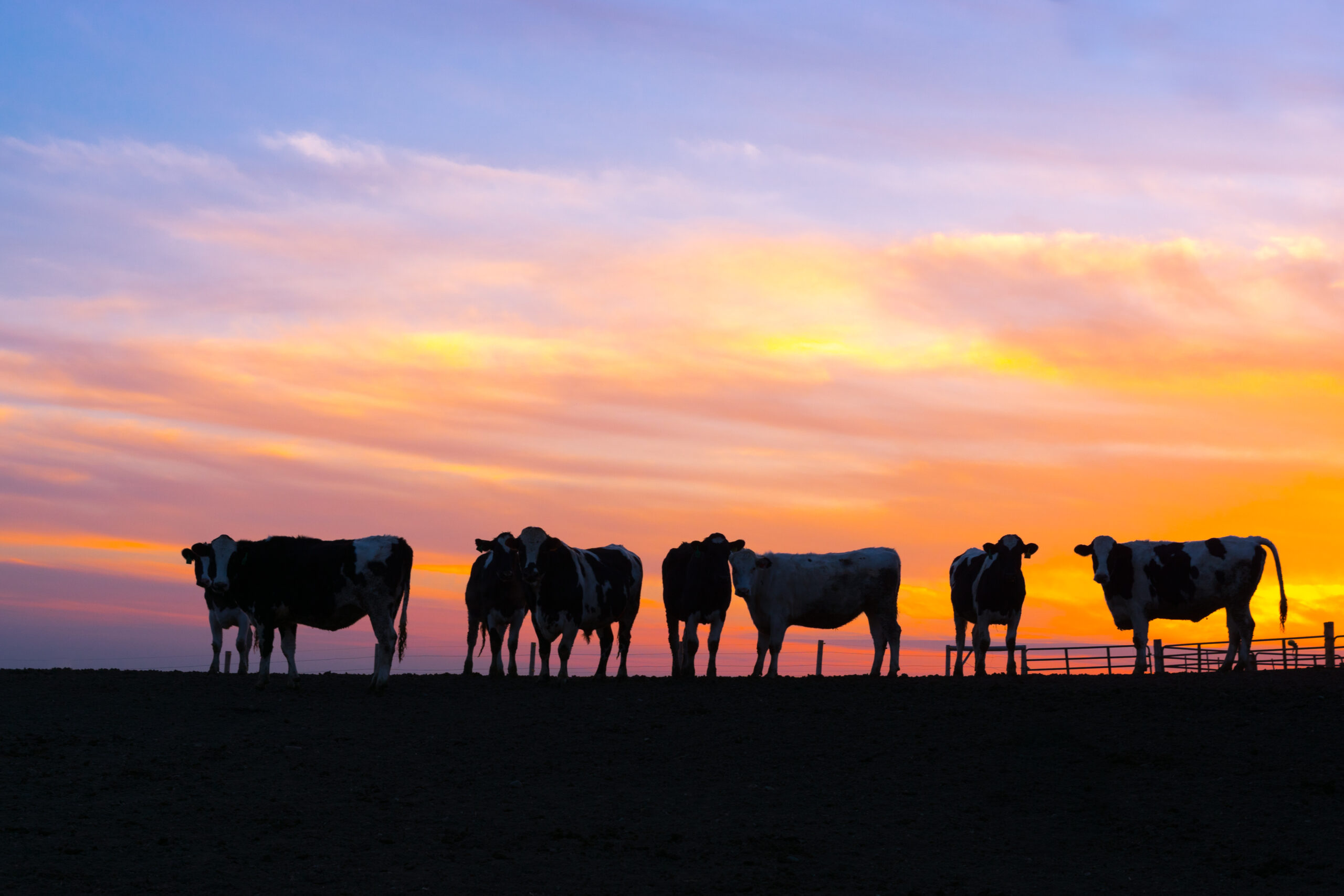 Empresarios del campo